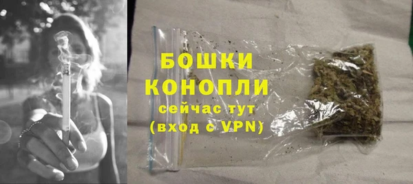 сатива Гусиноозёрск