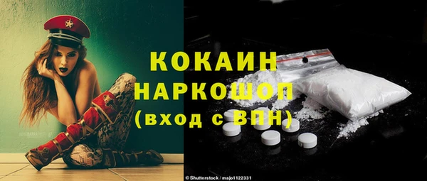 сатива Гусиноозёрск