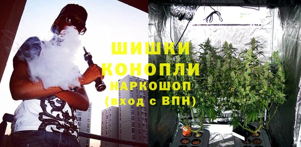 гидропоника Горнозаводск