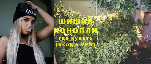 гидропоника Горнозаводск