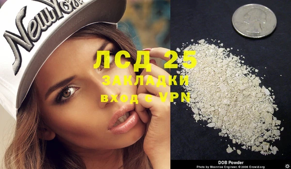 амф Горняк