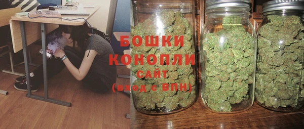 амф Горняк
