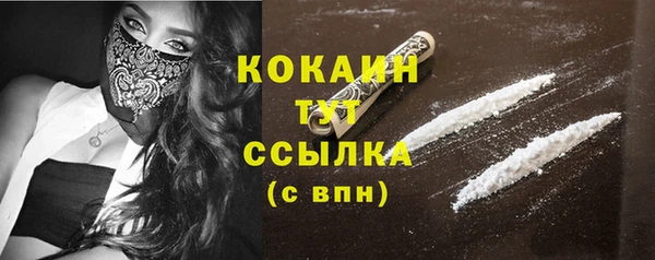 амф Горняк