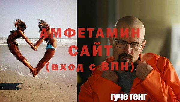 сатива Гусиноозёрск
