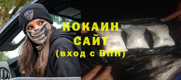 гидропоника Горнозаводск