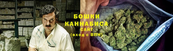 гидропоника Горнозаводск