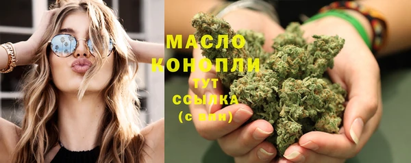 амф Горняк
